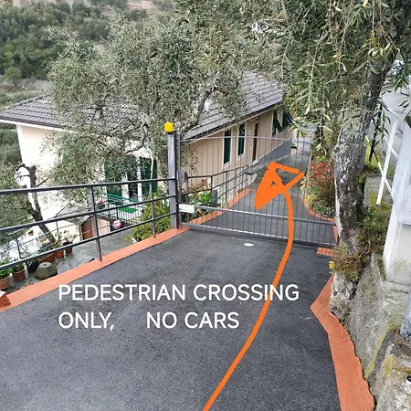 Barbara زواليي