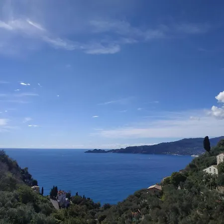 Barbara זואליי