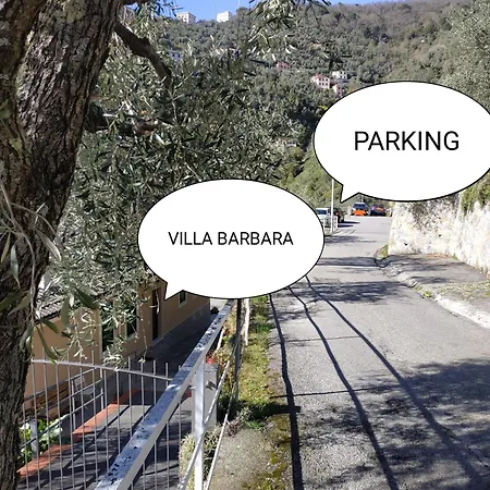 Barbara *